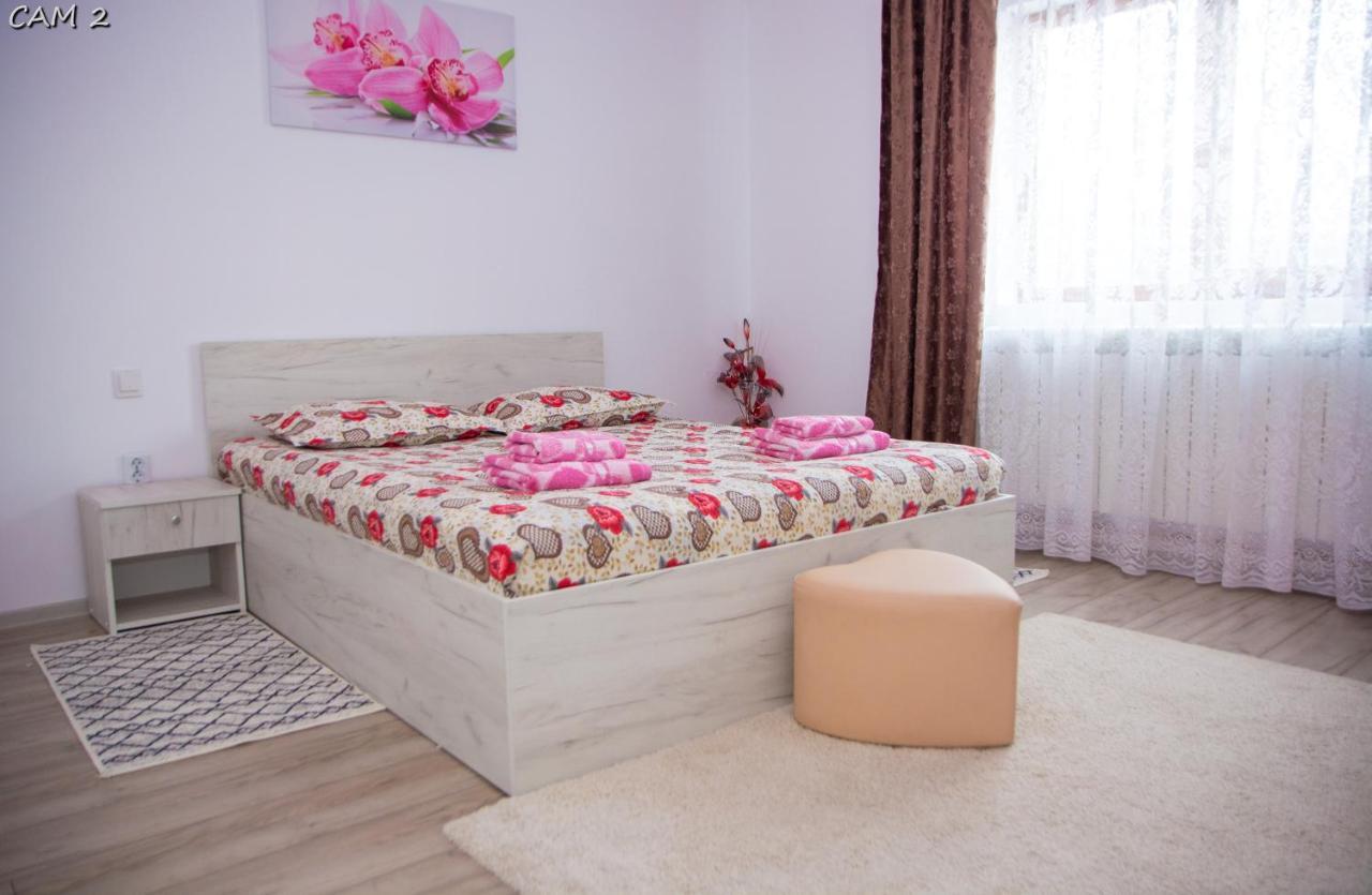 Apartamento Casa Stefania 1 Călimăneşti Exterior foto