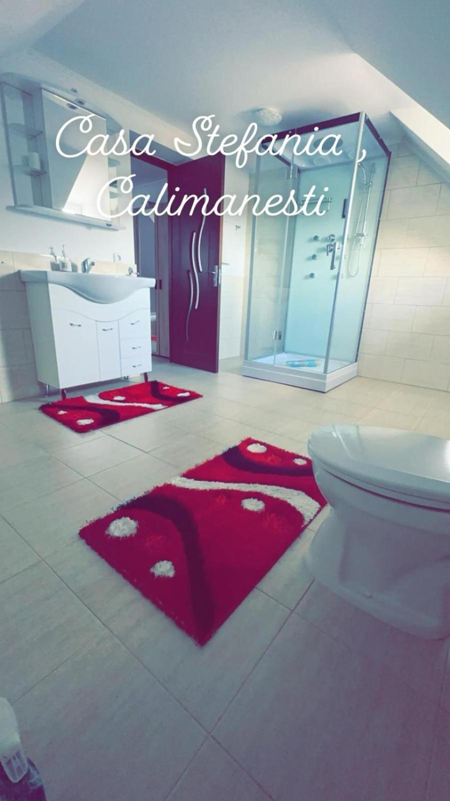 Apartamento Casa Stefania 1 Călimăneşti Exterior foto