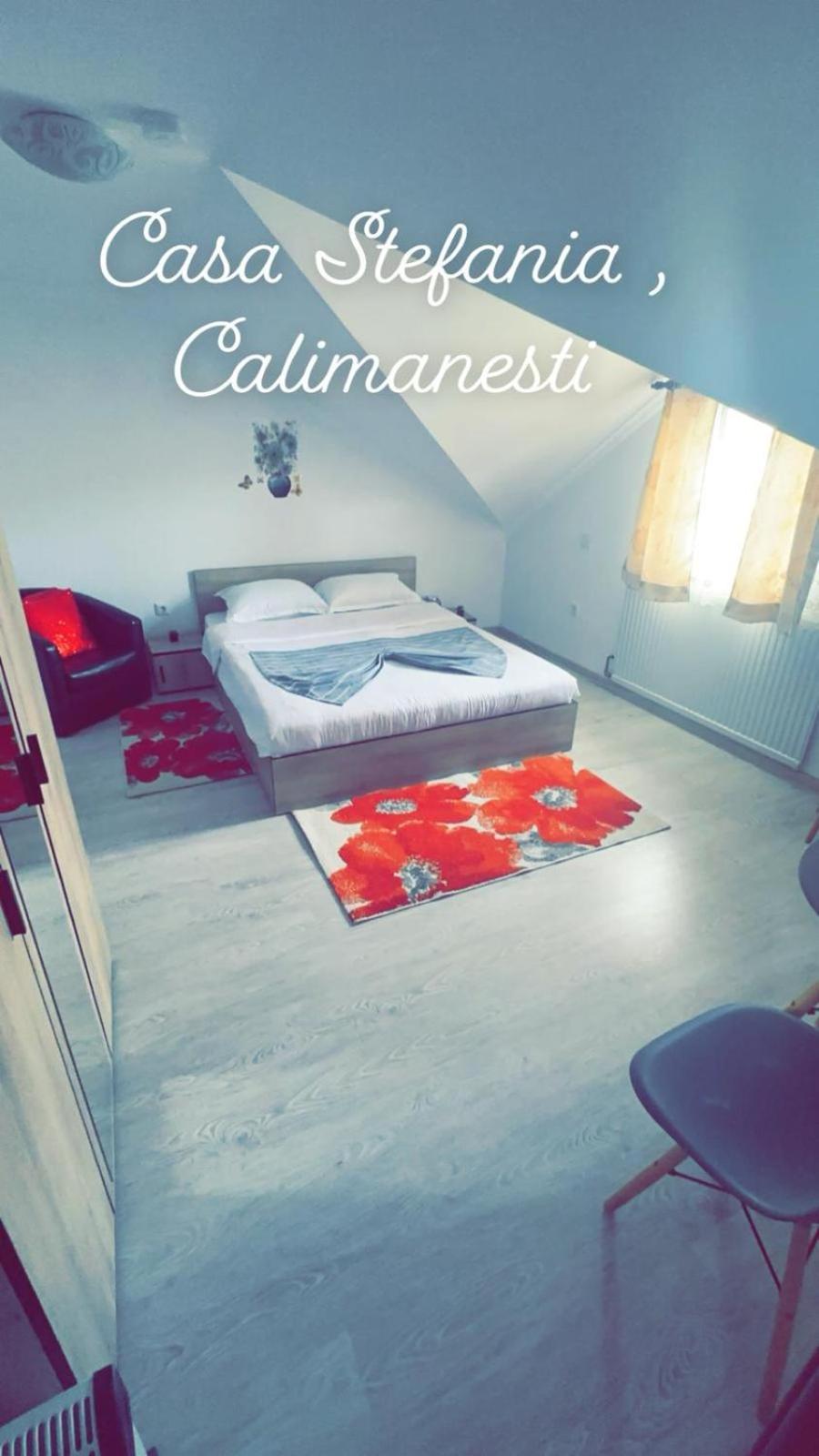 Apartamento Casa Stefania 1 Călimăneşti Exterior foto