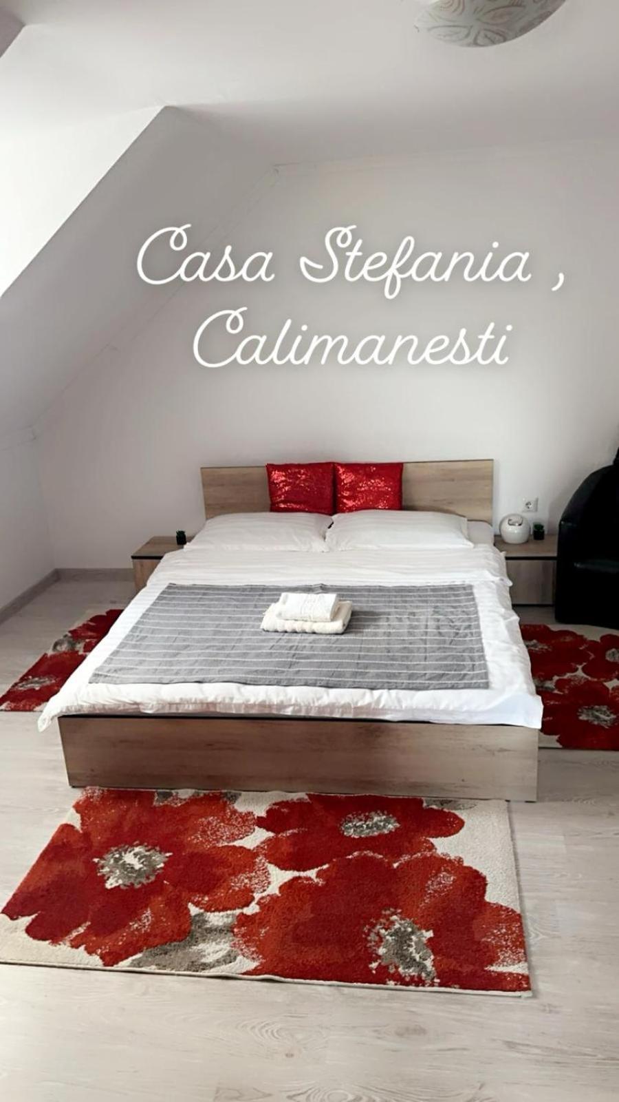 Apartamento Casa Stefania 1 Călimăneşti Exterior foto